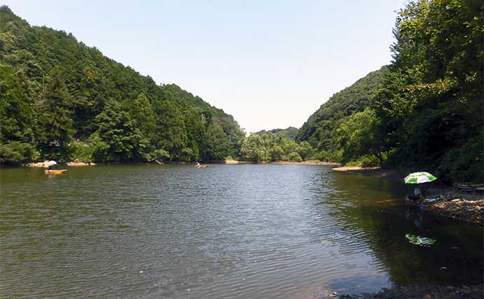 「円良田湖での釣果大公開！ヘラブナ釣りの楽しみ方」