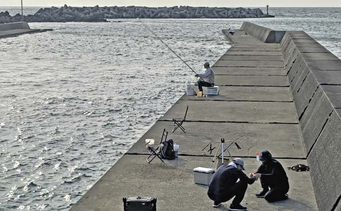 千葉の相浜港で楽しむフカセ釣りの醍醐味【釣りブログ】