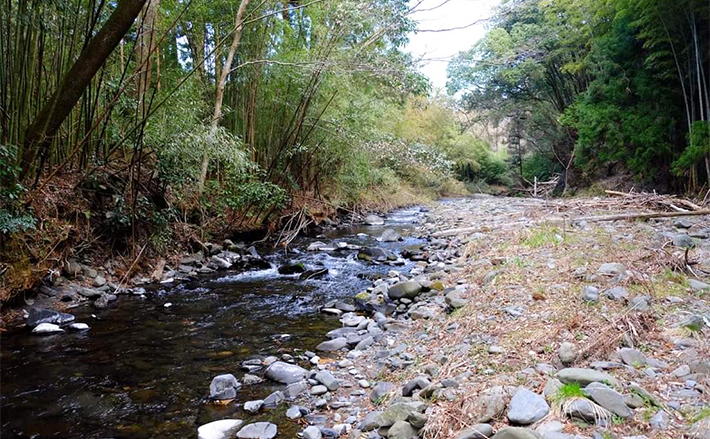 栃木の武茂川での渓流釣りが人気急上昇！