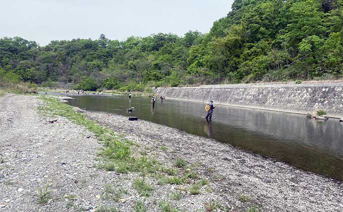 「荒川アユ友釣りの解禁日！一人平均20尾前後の釣果とは？」