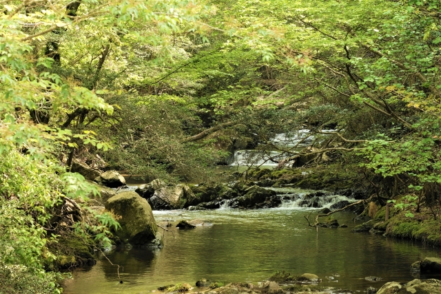 「山梨の名所、日川での釣り初心者のためのアドバイス」