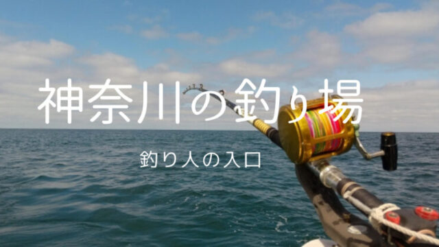 「神奈川県の釣りスポットを徹底解説！おすすめのポイント5選」