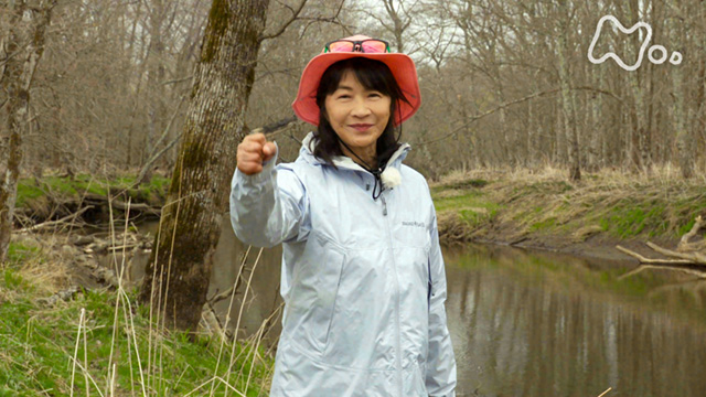 田中美佐子が挑む、幻の巨大魚イトウのリベンジとは？