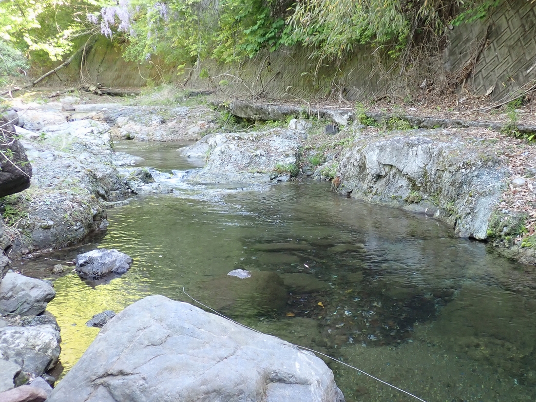 山梨の秋山川で楽しむ渓流釣りの魅力とポイント紹介