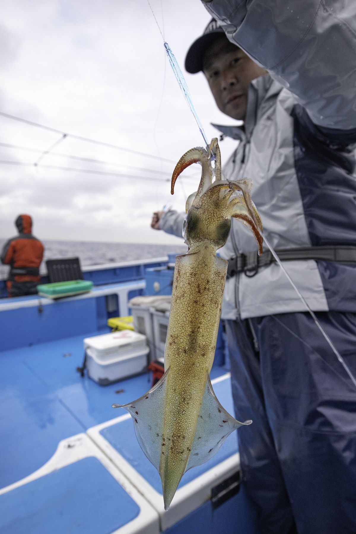 ヤリイカ釣りの穴場！茨城・那珂湊沖で大漁を狙え！