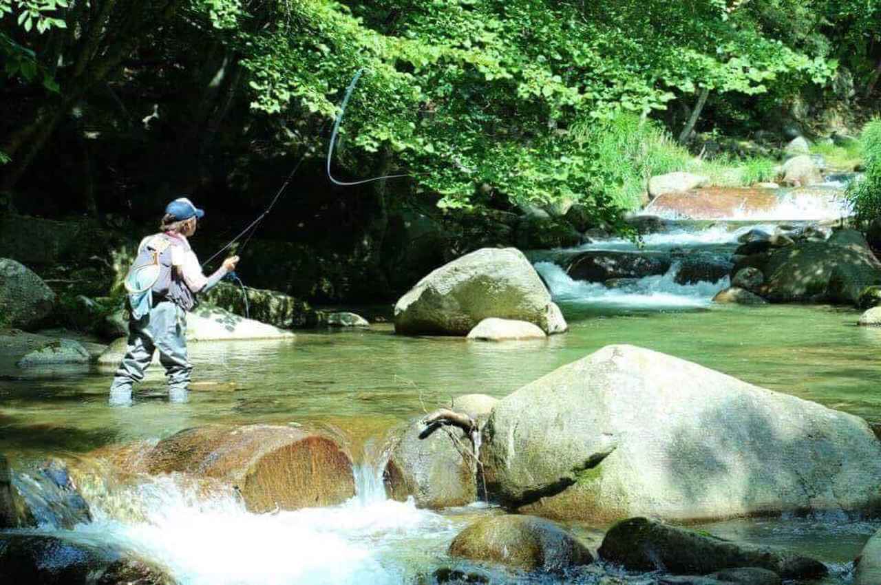 「意外な展開！初夏のホームリバーでのGW休暇渓流フライフィッシング体験」