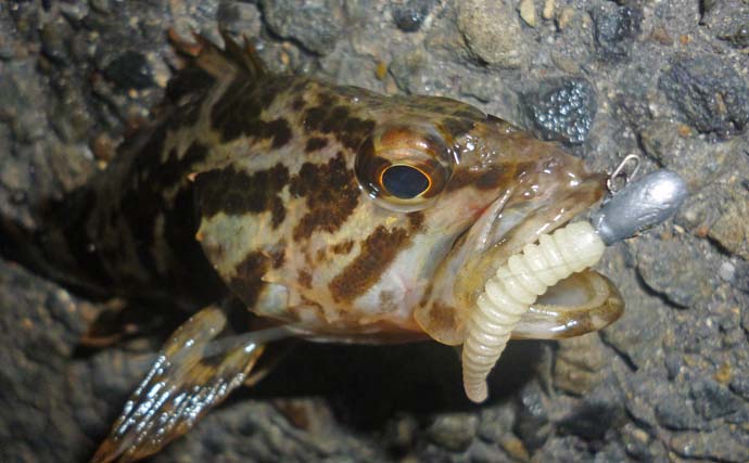 三重県の絶好の釣りスポット！四日市港で楽しむ釣り仲間との一日