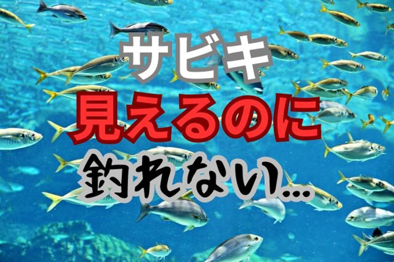 サビキ釣りでの失敗を見直して、釣果を上げるためのポイントとは？