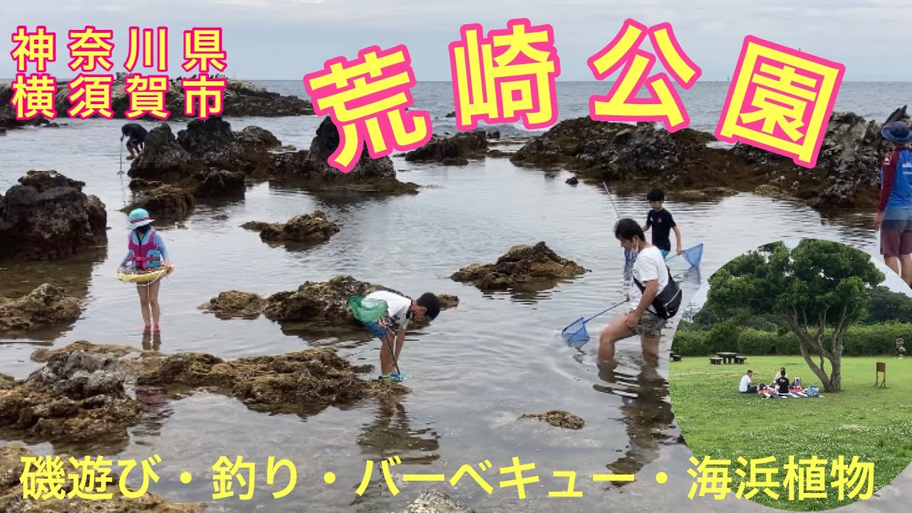 三浦半島の荒崎公園で楽しむ釣りとピクニックの魅力