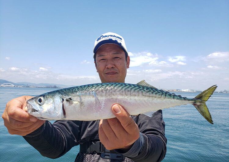 「大阪での粘りの釣行、4回目でついに大サバ3匹ゲット！」