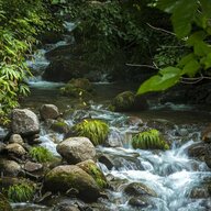 渓流釣りで夏と秋の移り変わりを感じる