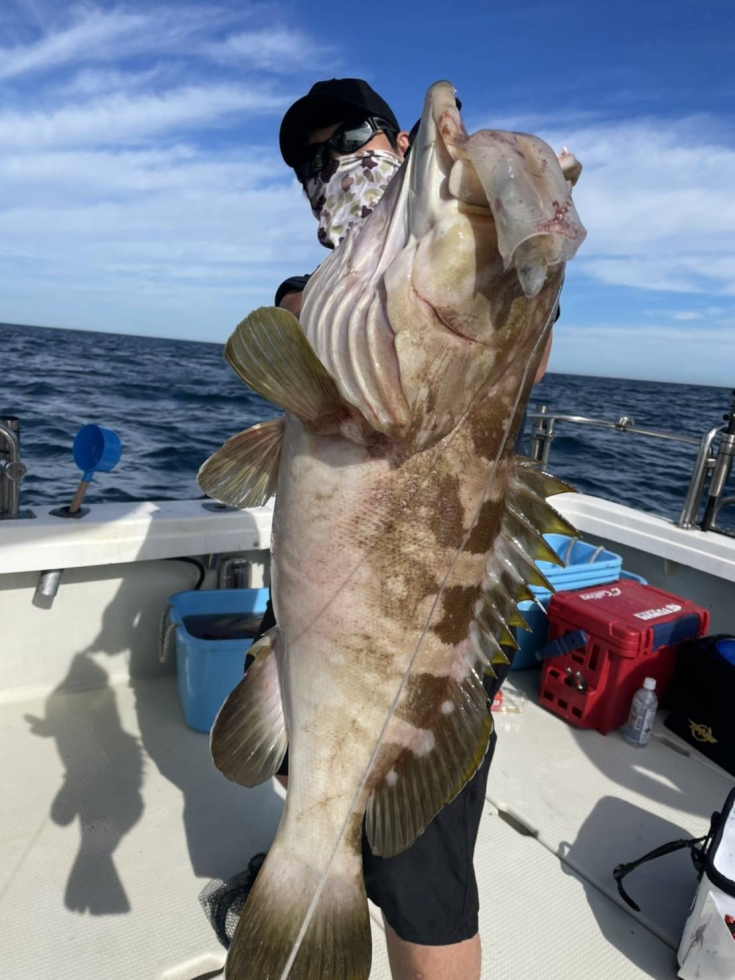 船釣り釣果速報: 佐賀の海で10kg級クエを釣り上げた興奮の瞬間