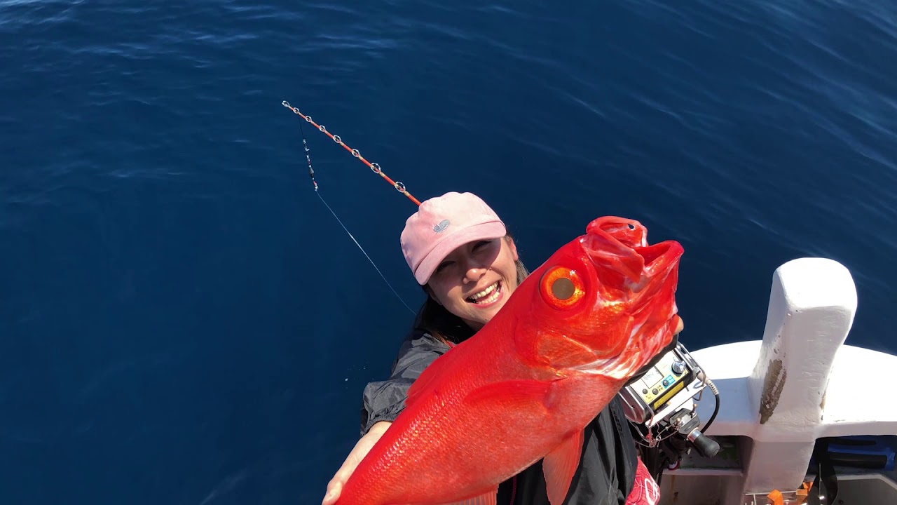 【伊東】キンメダイ船での釣果が活性高い！68匹一斉に釣れる興奮