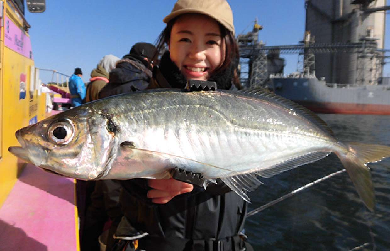 関東エリアの船釣り初心者ガイド：LTアジ釣りでお土産をゲット！