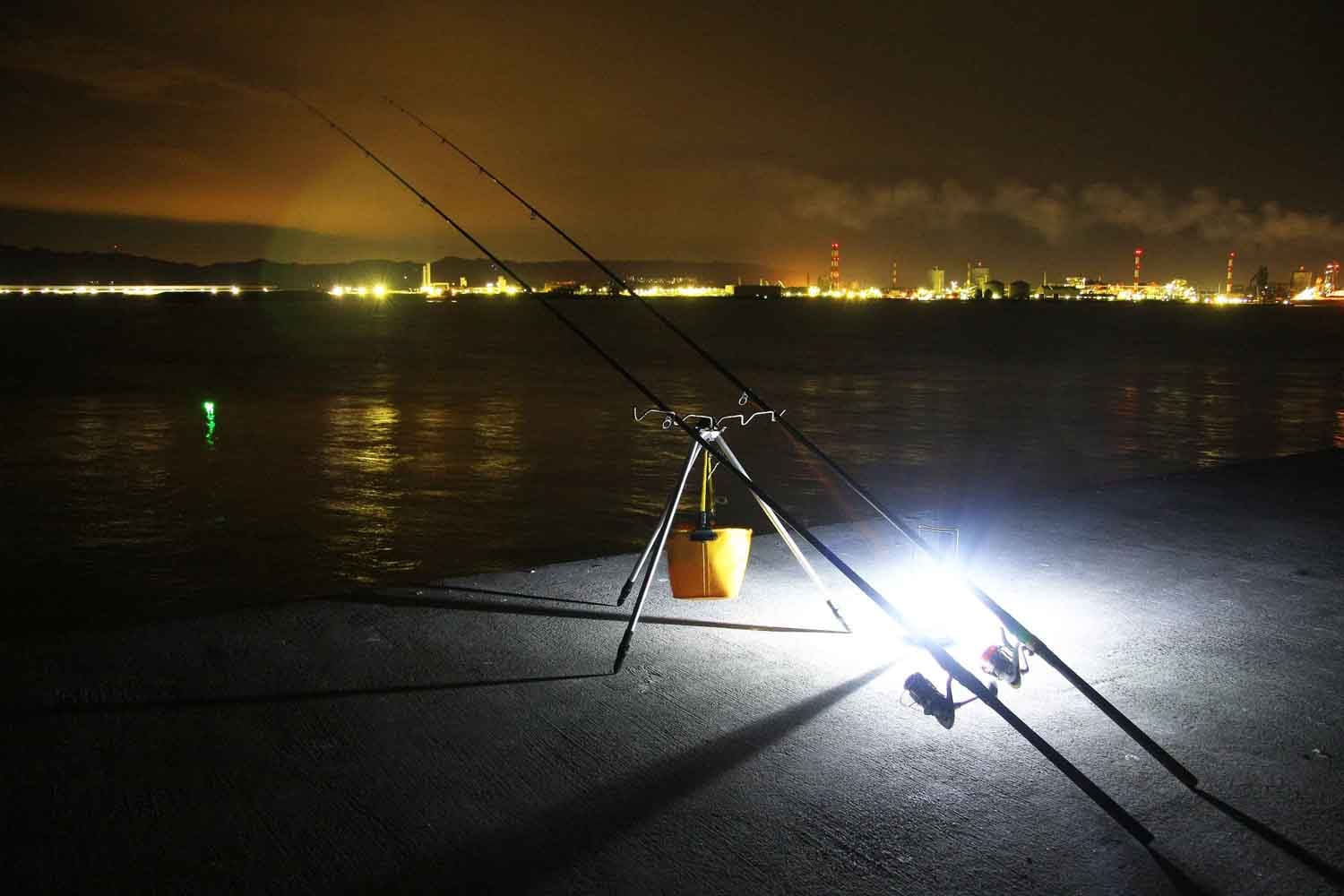 驚きの夜釣り！サメとアナゴが狙える釣りの魅力