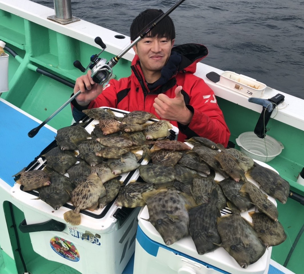 愛知の伊良湖で良型カワハギが続々と釣れる！