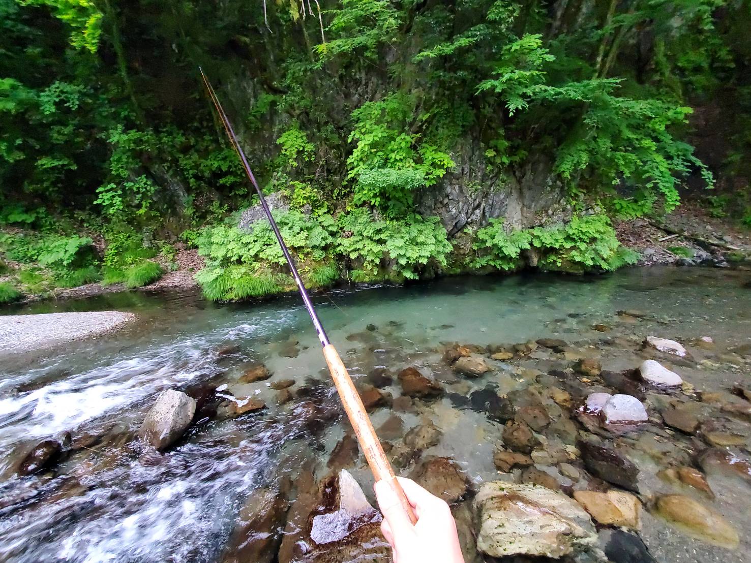 夏の山の中で感じる涼やかな渓流釣りの魅力